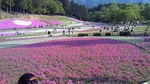 200905021540000.jpg