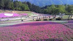 200905021540001.jpg