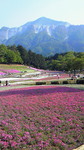 200905021540002.jpg