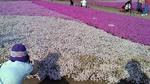 200905021544000.jpg