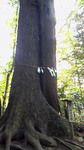 200905021642000.jpg