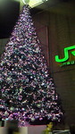 200911202109000.jpg
